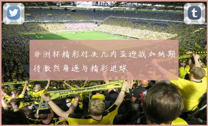 非洲杯精彩对决几内亚迎战加纳期待激烈角逐与精彩进球