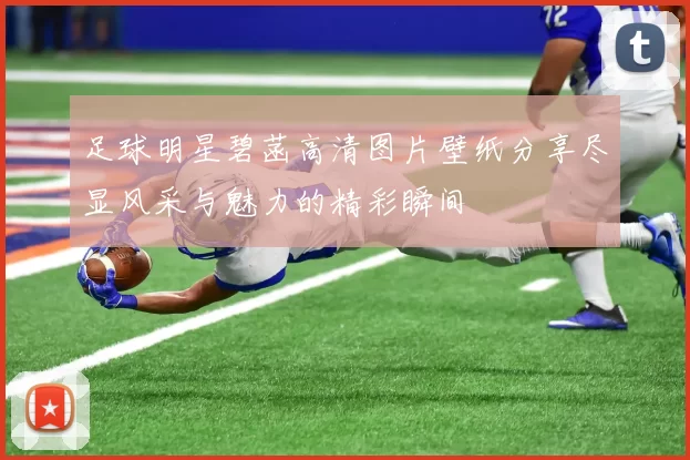 足球明星碧菡高清图片壁纸分享尽显风采与魅力的精彩瞬间