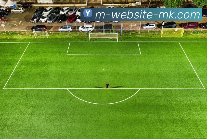 MK体育平台生态图